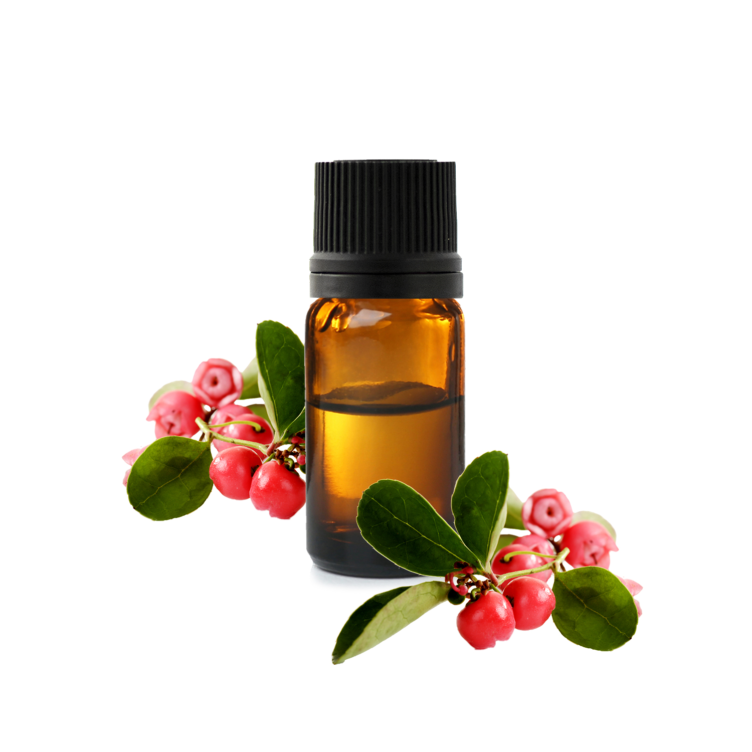 2023010495056_gaultherie-odorante-he-categ-jpg.jfif