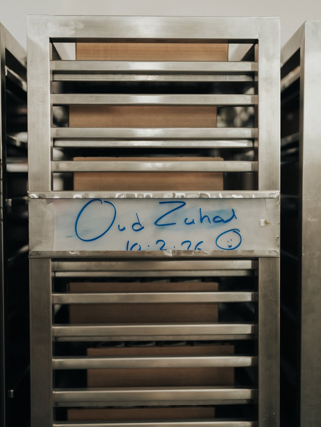 IMG_6337 IMG_6337.JPG