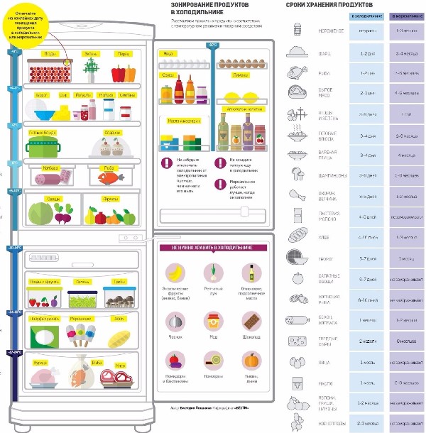 Полки в холодильнике расположение продуктов