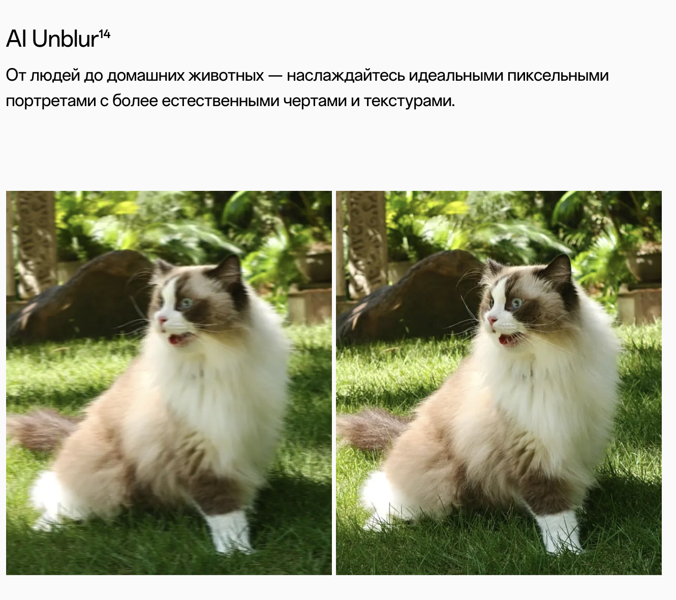 oneplus 24.png