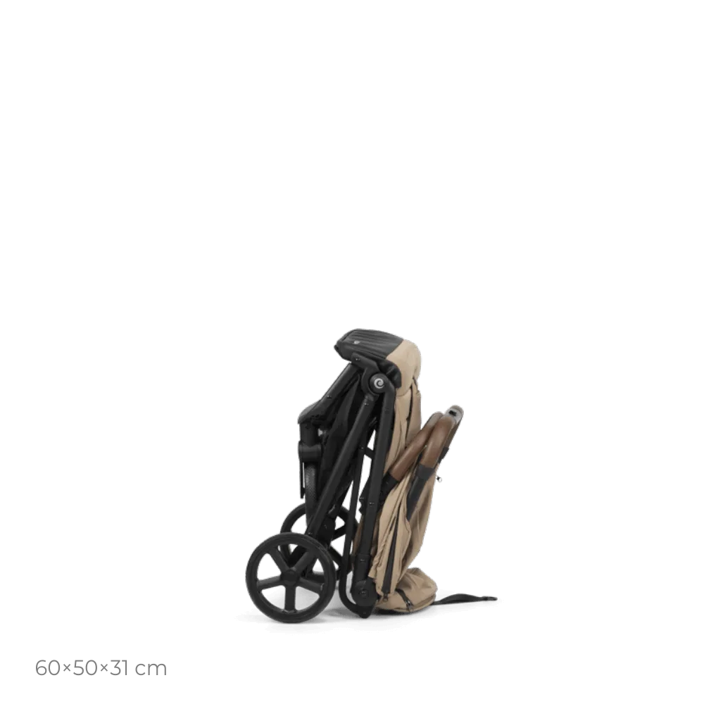 UP-3.png.webp
