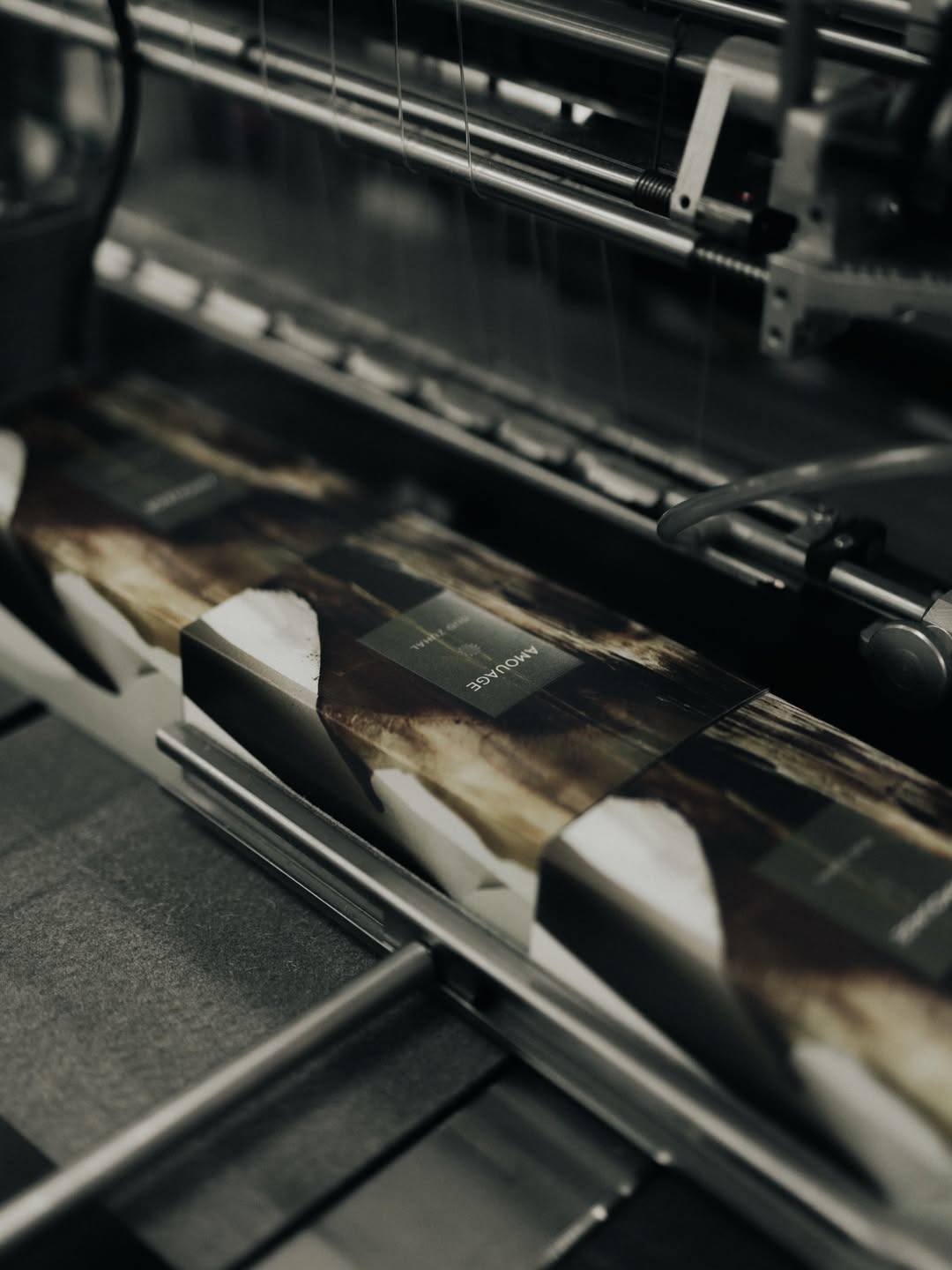 IMG_6342 IMG_6342.JPG