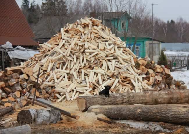 Заготовка дров дровоколом
