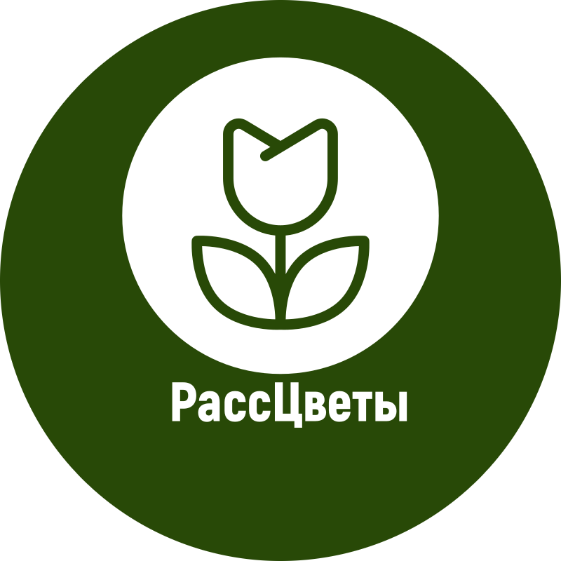 Цветочный магазин РассЦветы