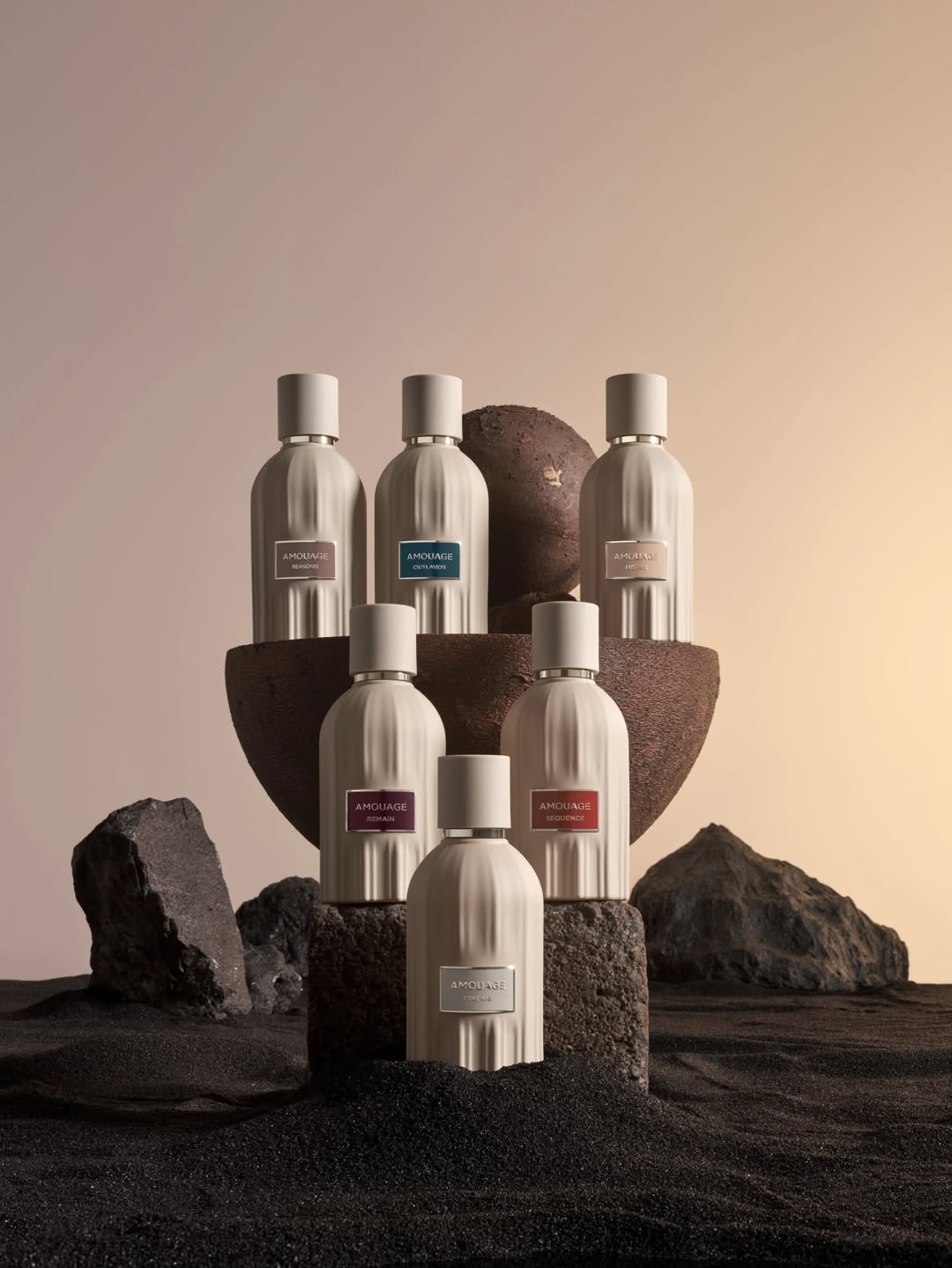 IMG_6333 IMG_6333.JPG