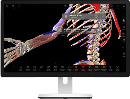 features-base_2x.png.webp