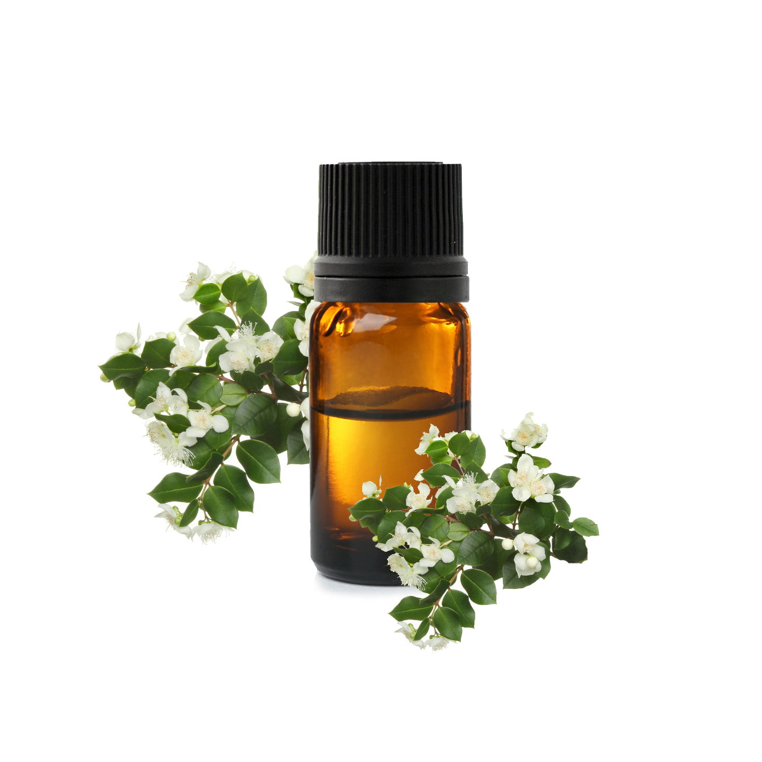 Зеленый мирт.jfif