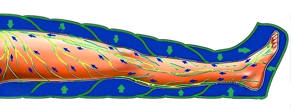 Лимфодренаж_2