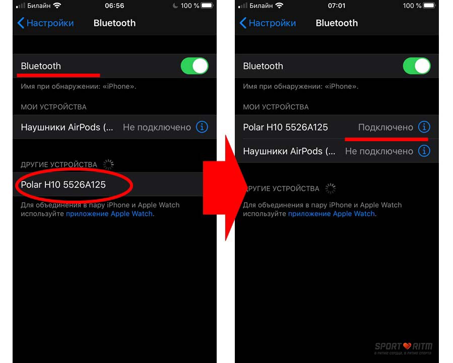 Подключение Polar H10 к iphone