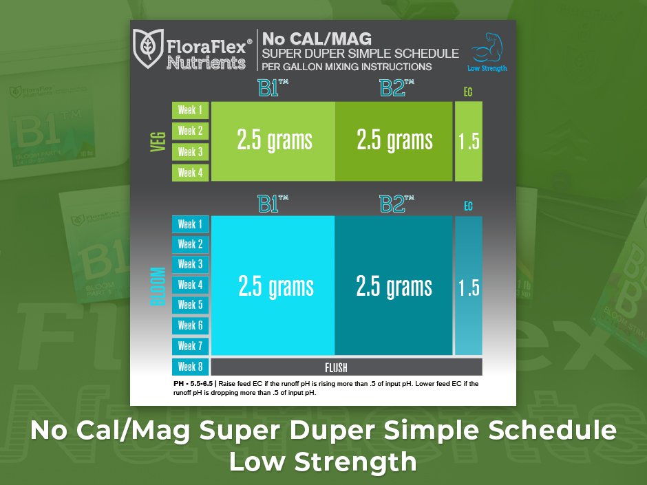 no-cal-mag-super-simple-sched-low.jpeg
