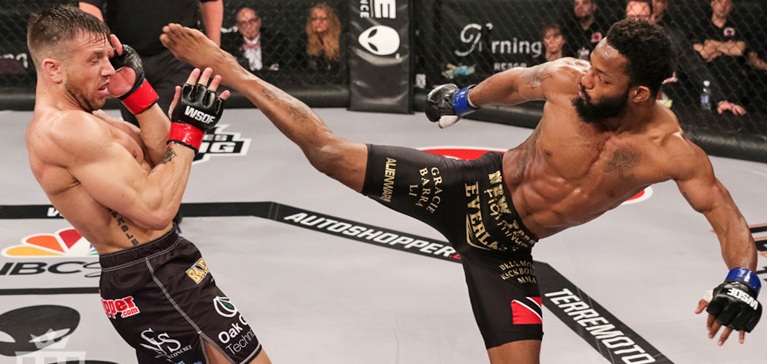 1 WSOF35_Palmer_Harrison_.jpg