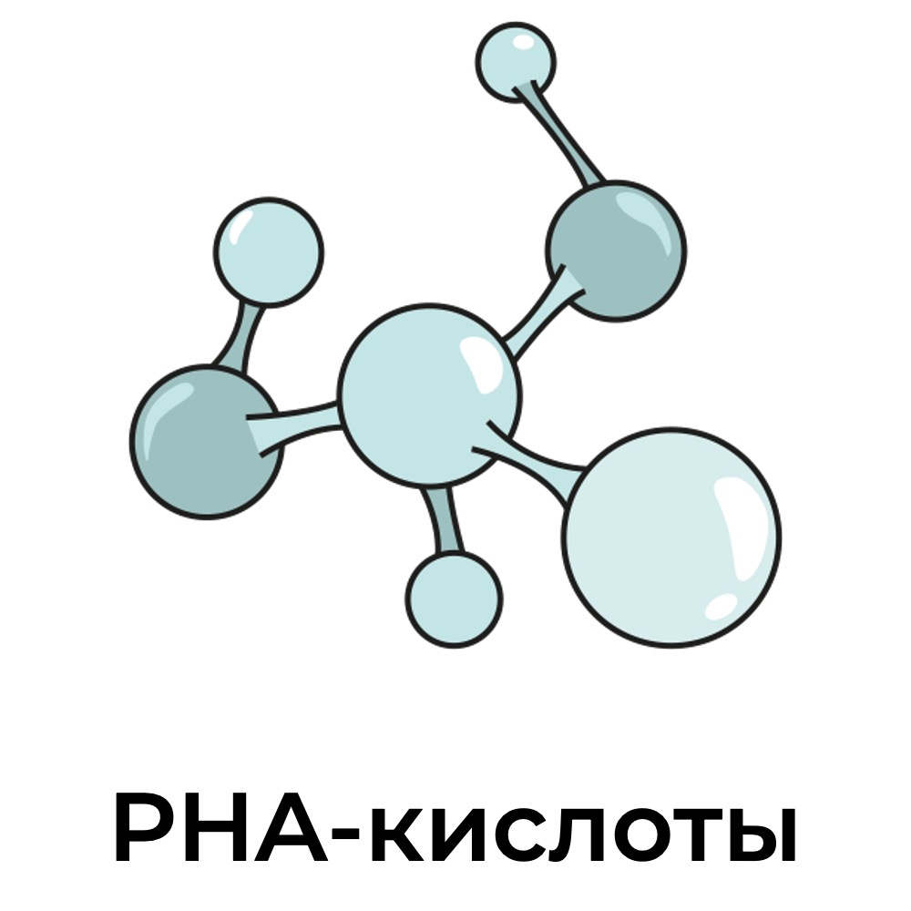 pha-кислота.jpg