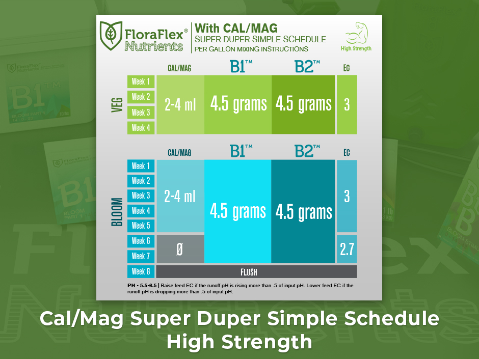 cal-mag-super-simple-sched-high.jpeg