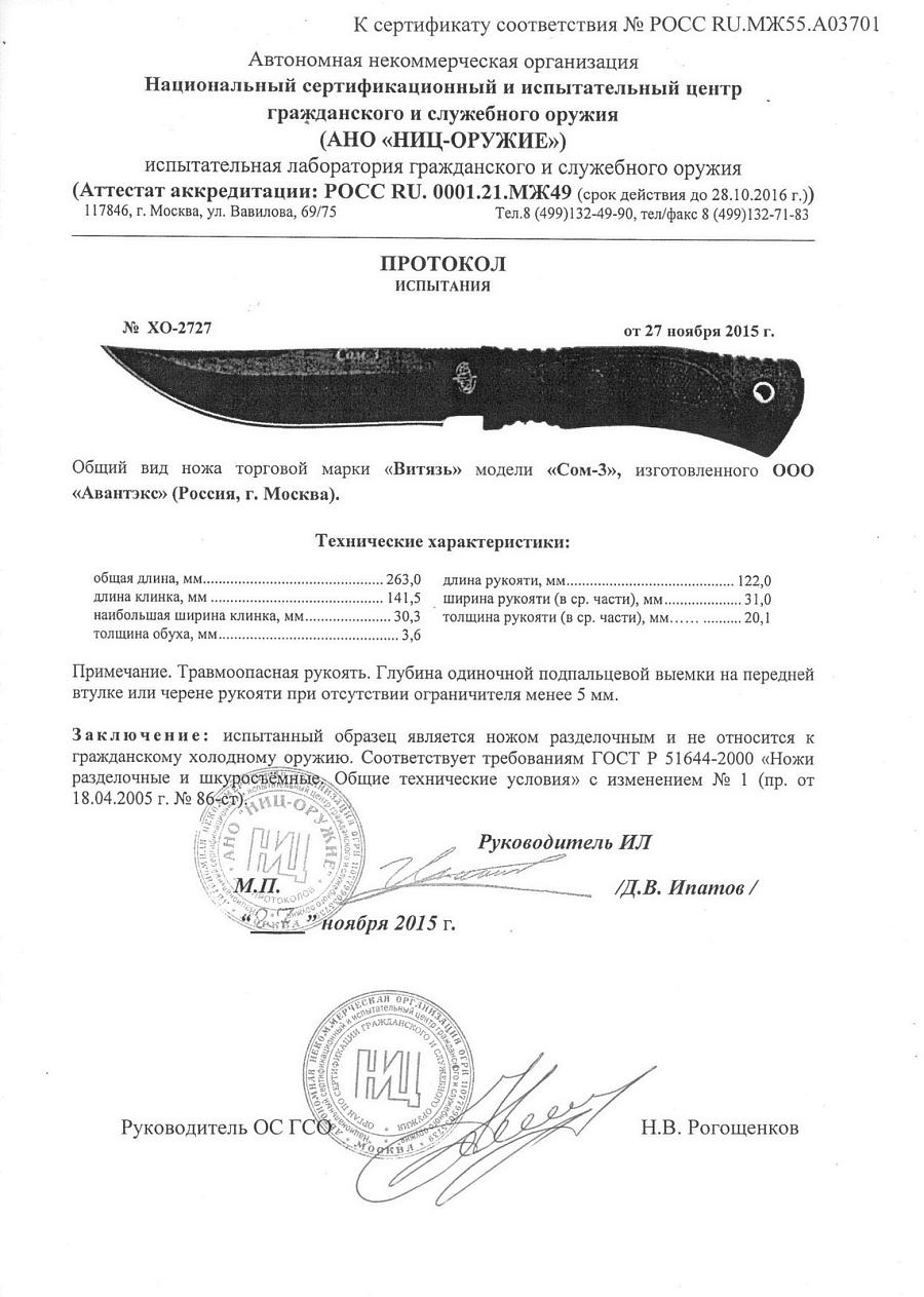 сом 3.jpg