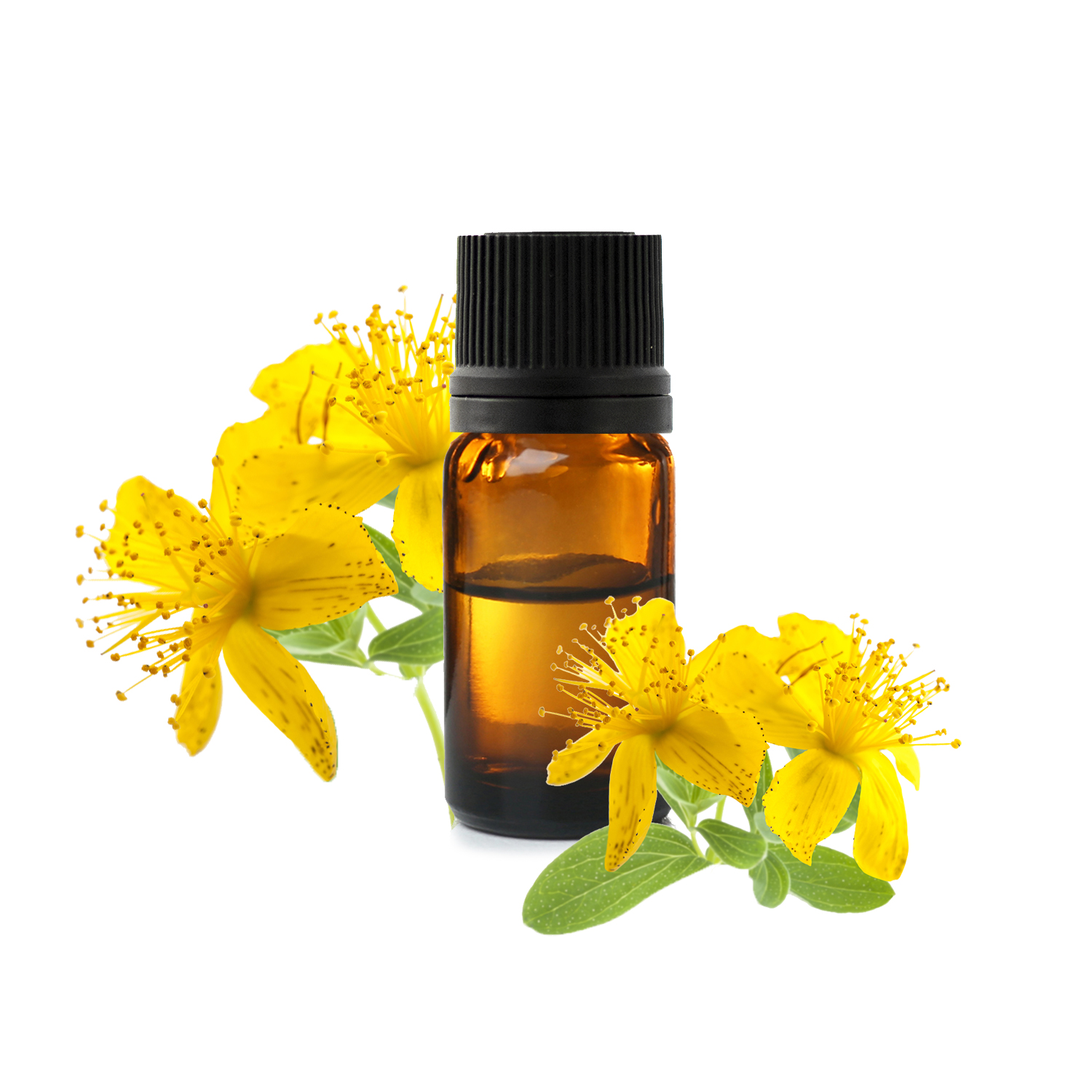 Зверобой Зверобой.jfif