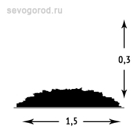 Можжевельник горизонтальный 