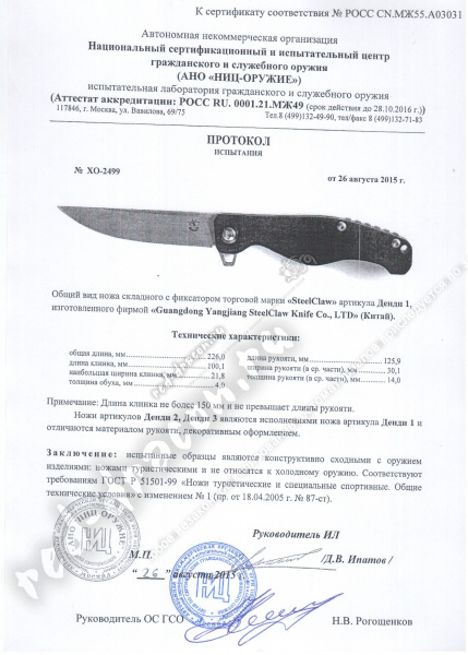 денди денди.jpeg