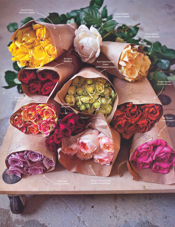 публикации журнал seasons 2009 фея розы волшебница страны роз