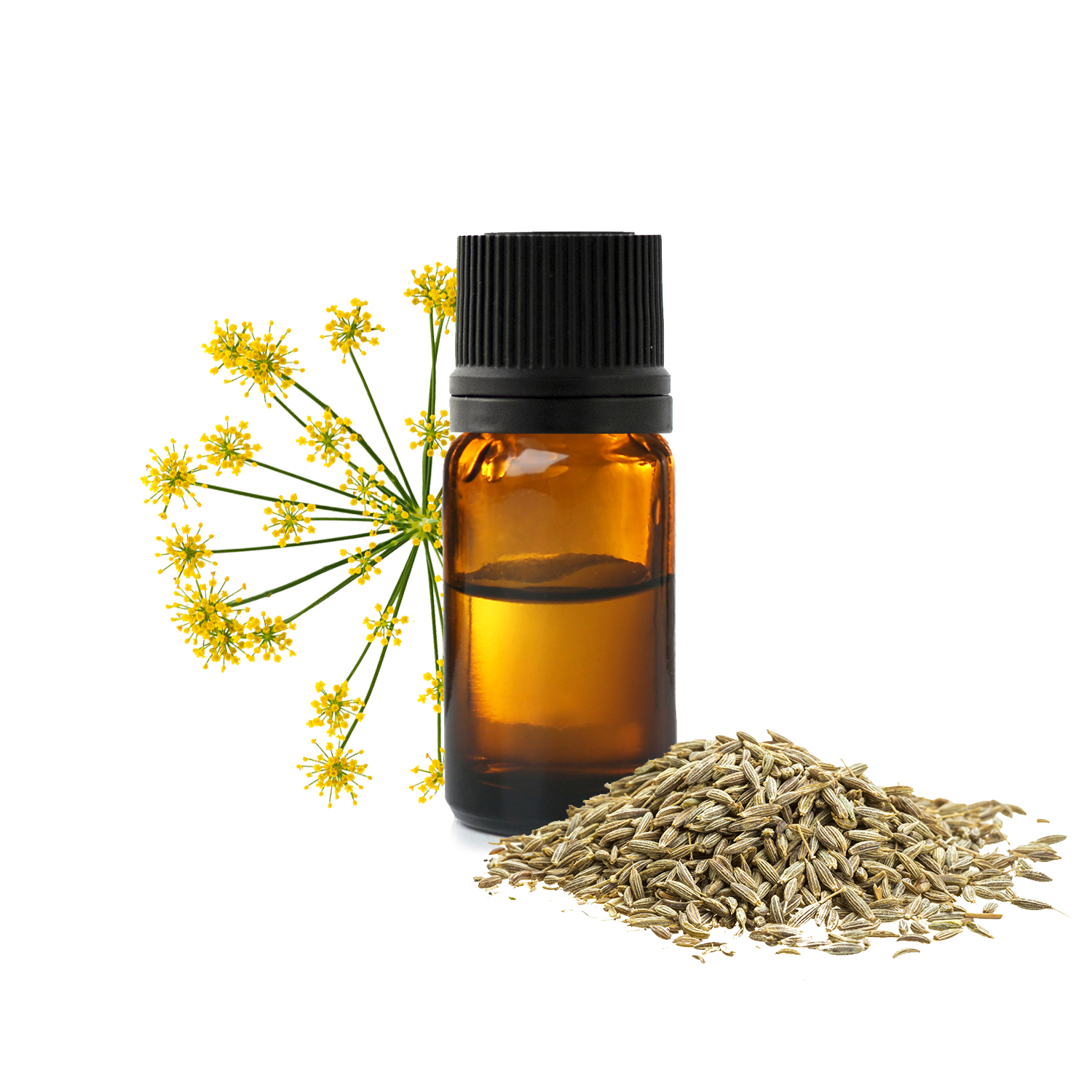 фенхель_1771844412426-1771844416148.jpg фенхель_1771844412426-1771844416148.jpg