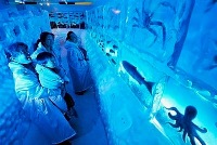 ледяной_аквариум_япония_м.jpg