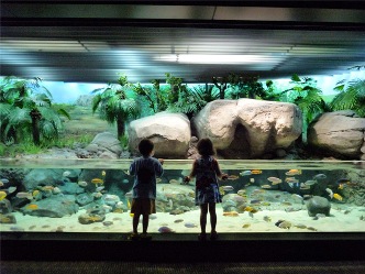 child-and-Aquarium.jpg