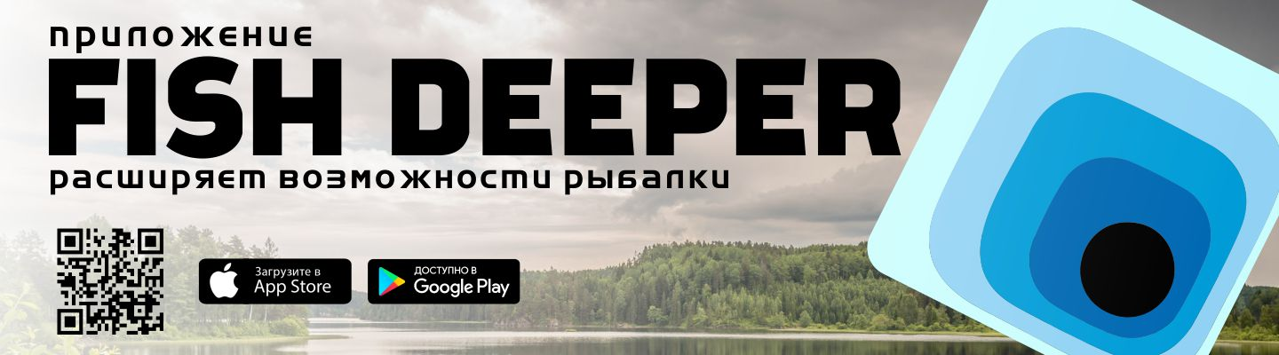 banner-app.webp