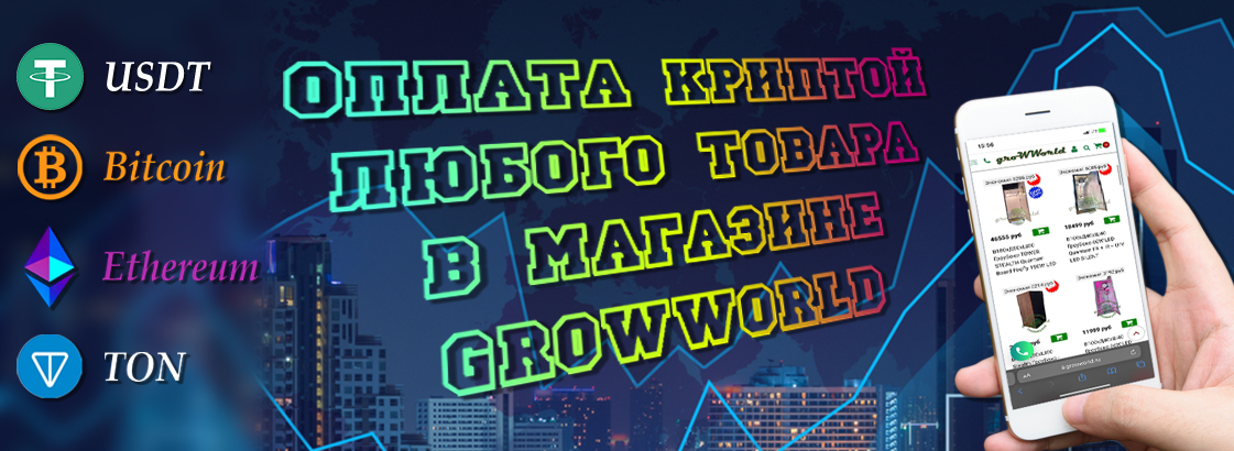 Крипта
