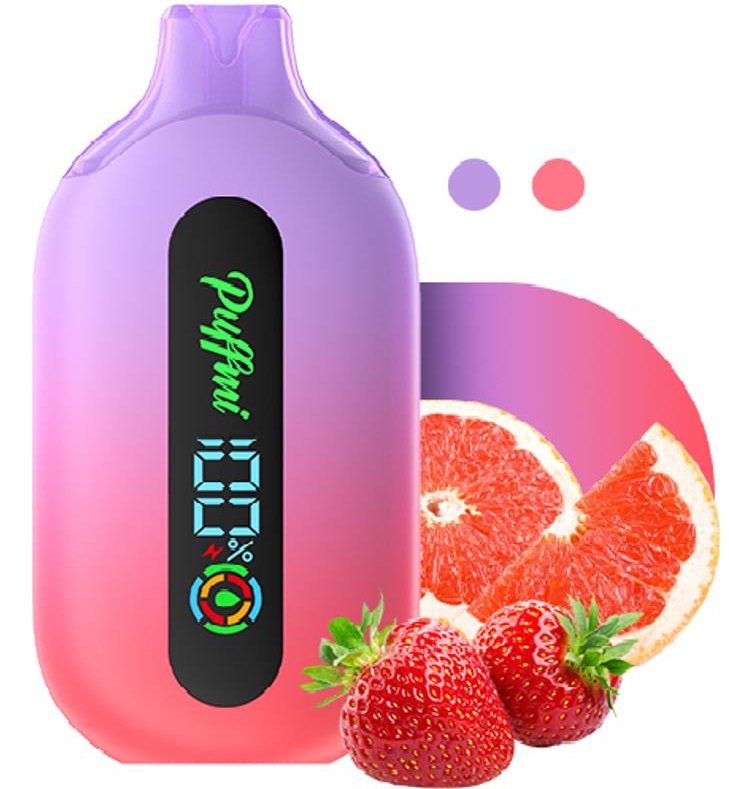 Puffmi PURE 12000