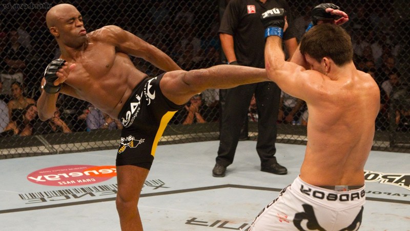 Anderson Silva UFC 3.jpg