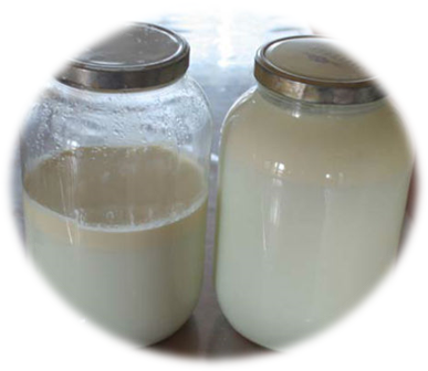 Переработка молока купить в Новокузнецке по выгодным ценам — Сельский магазин
