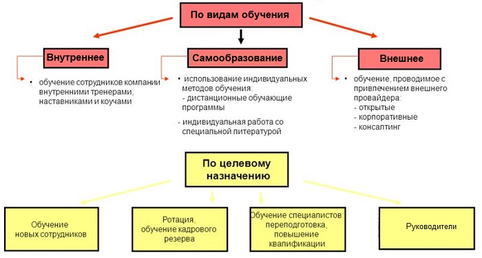 Классификация видов обучения