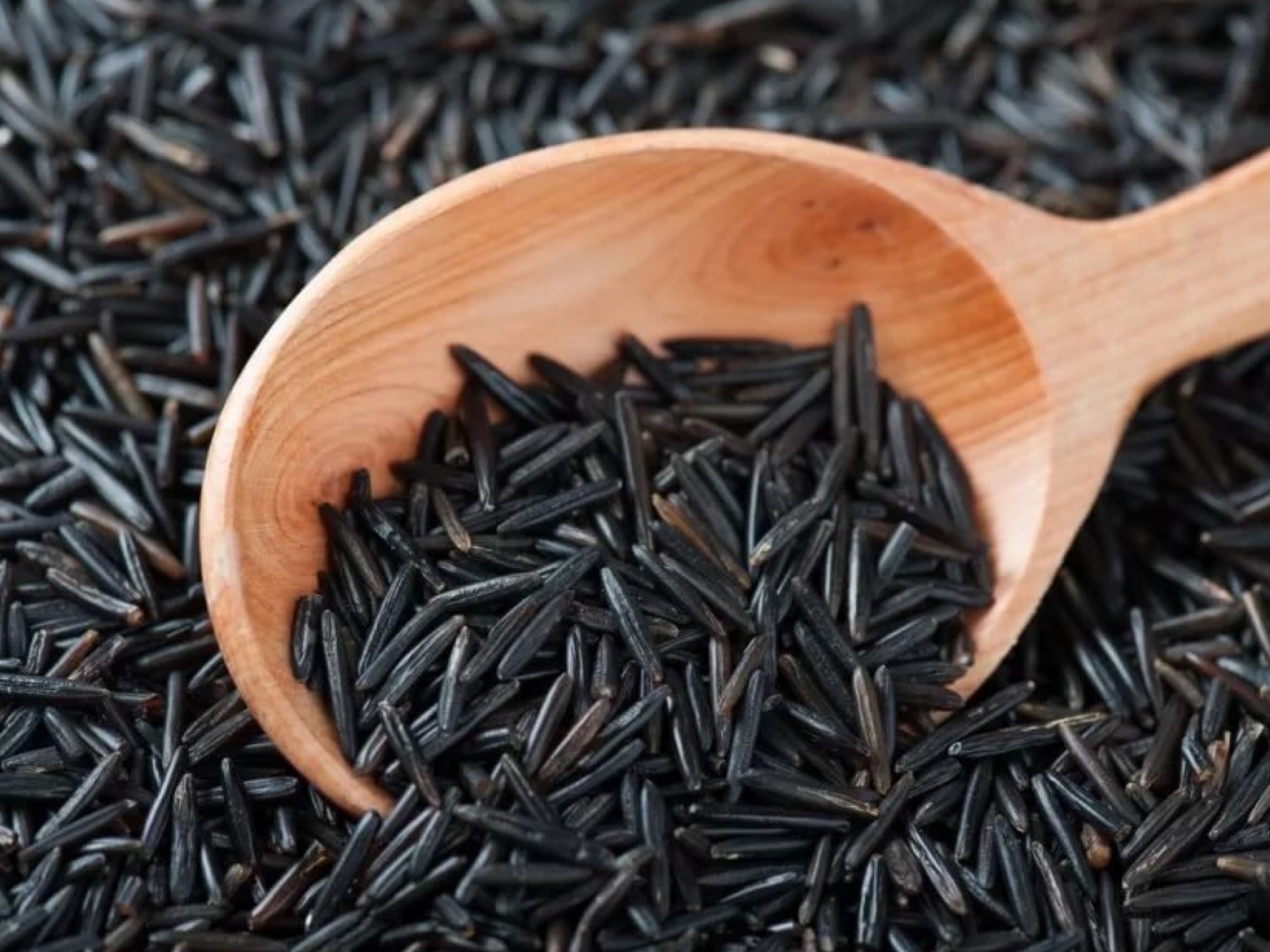 Где растет дикий рис. Рис дикий черный. Черный рис Wild Rice from. Черный тибетский рис. Дикий Техасский рис.