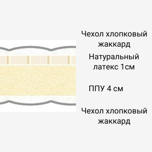Латекс1ППУ.png