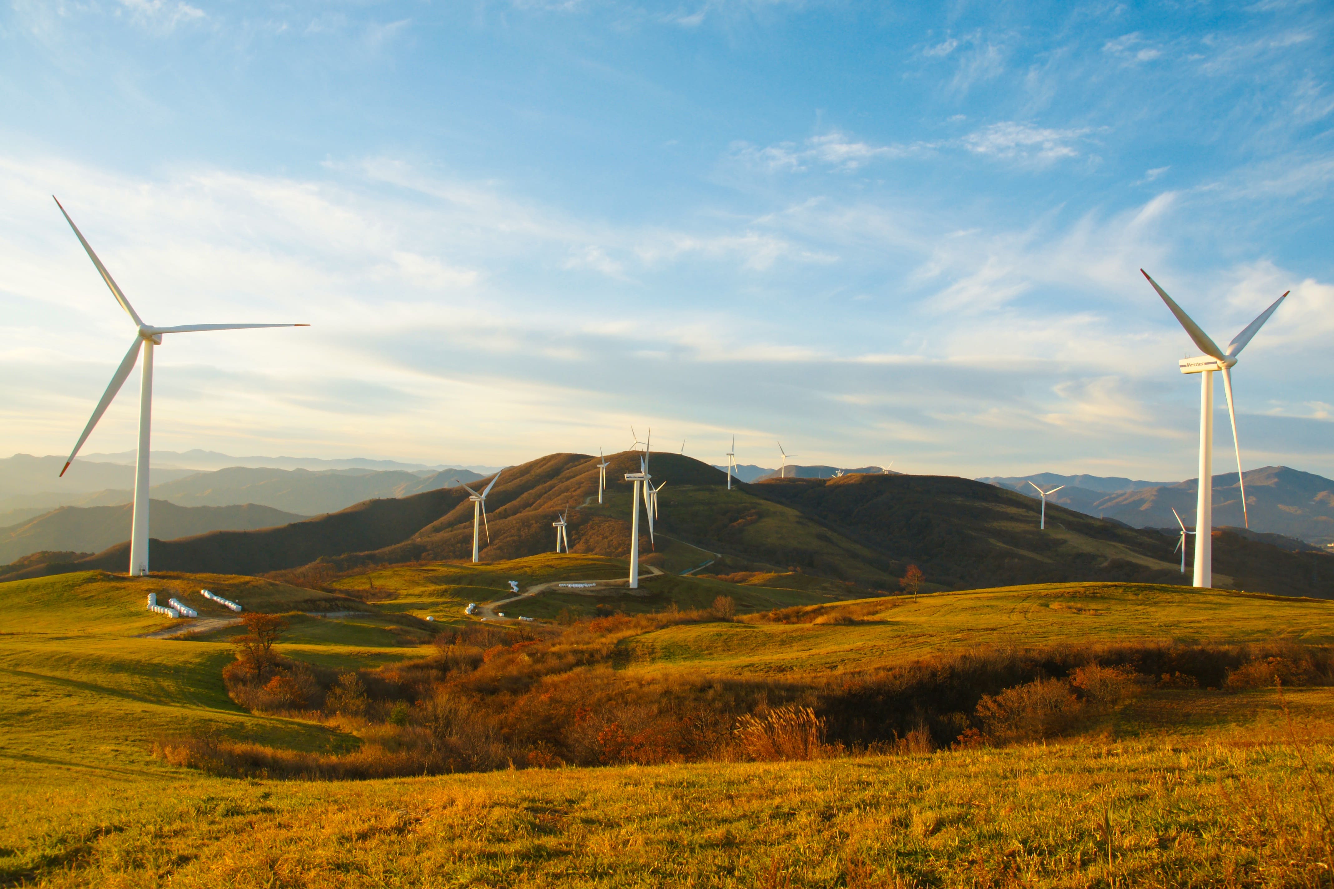 windmills-7986053.jpg