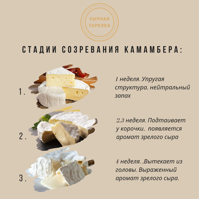 Сыр Камамбер — подробная технология изготовления в домашних условиях
