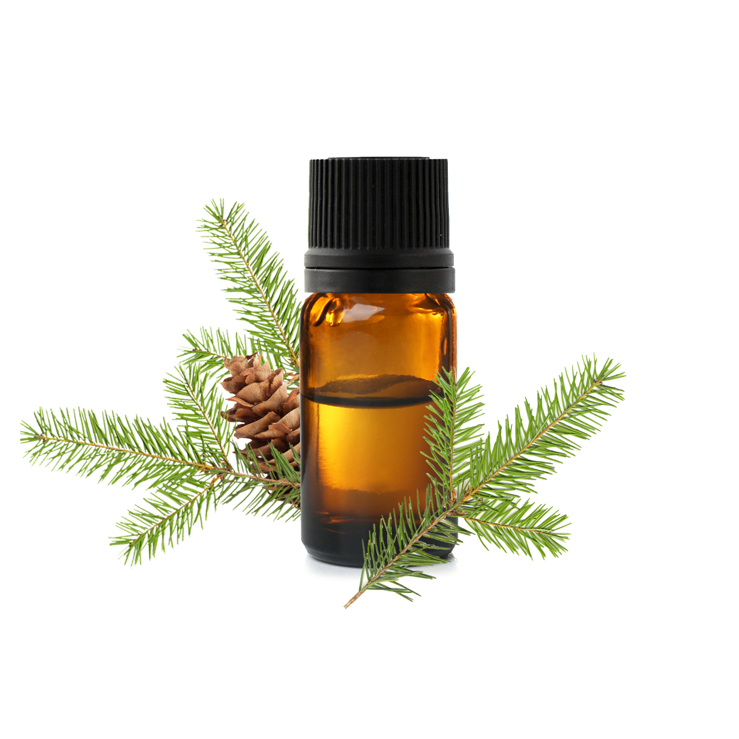 Сосна Дуглас Сосна Дуглас.jfif