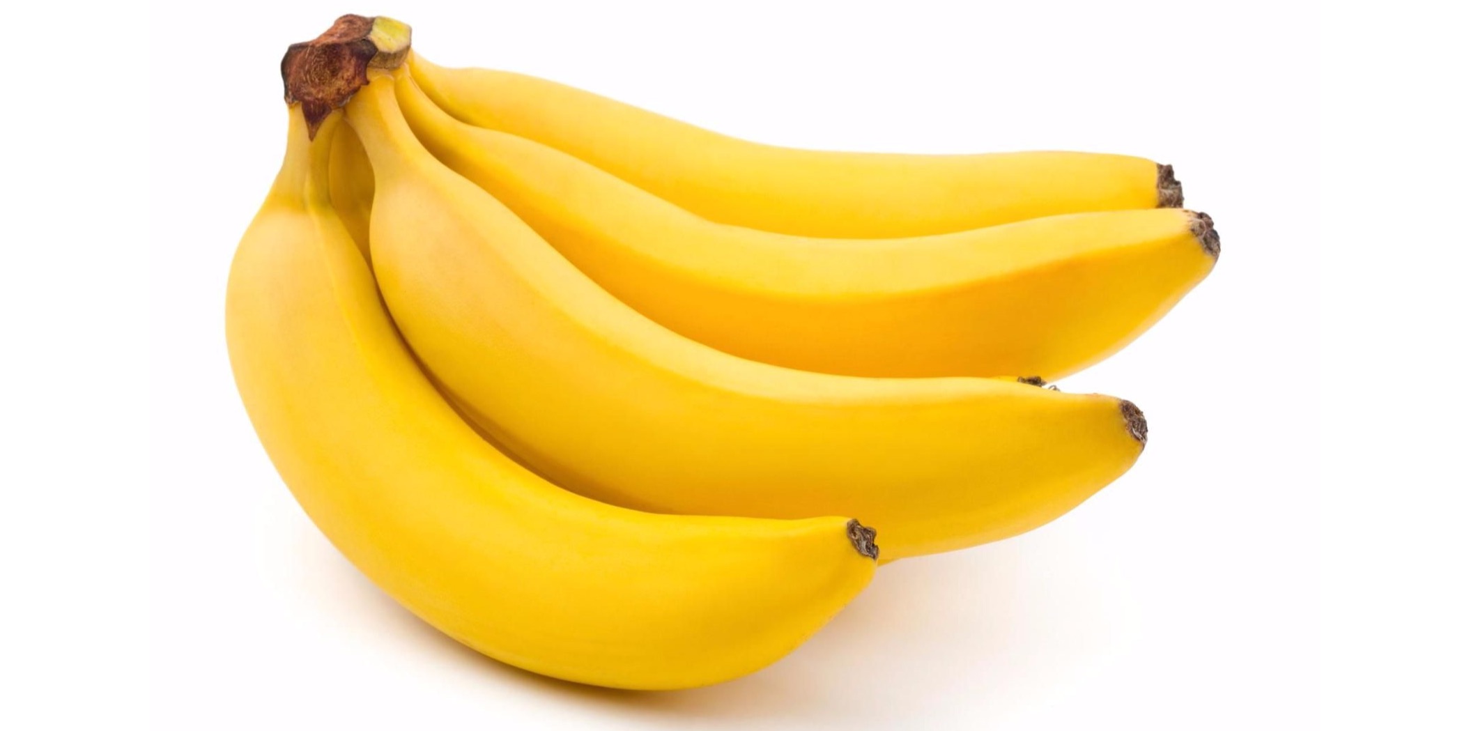 Больше продаж с BIO INSITE