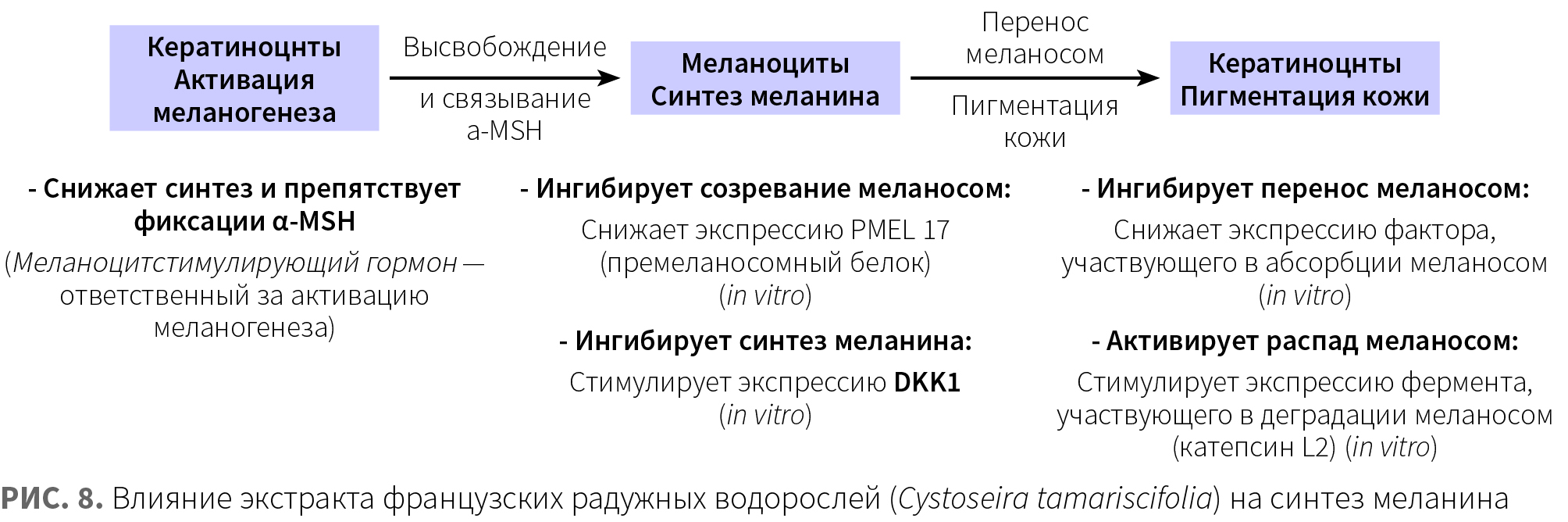 Глазко (ЛРП) КМ 3-2024_Рис 8.jpg