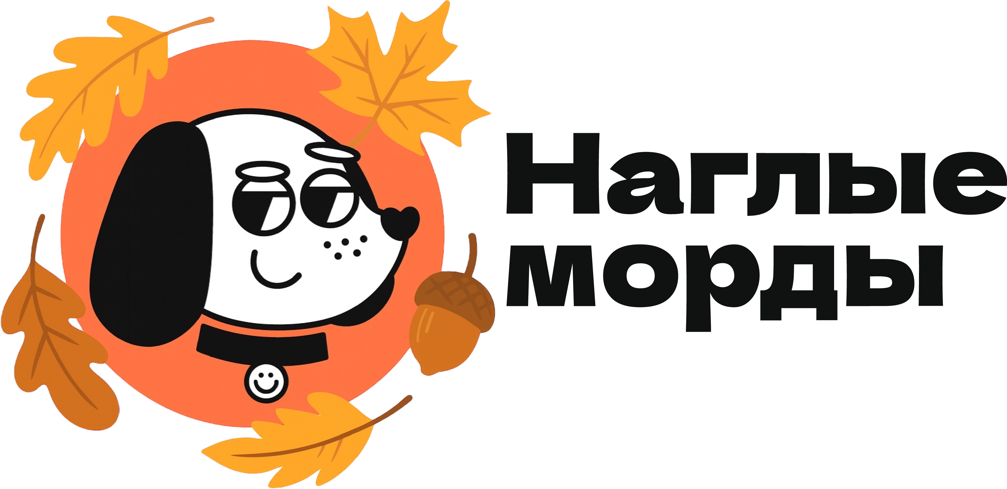 Наглые морды
