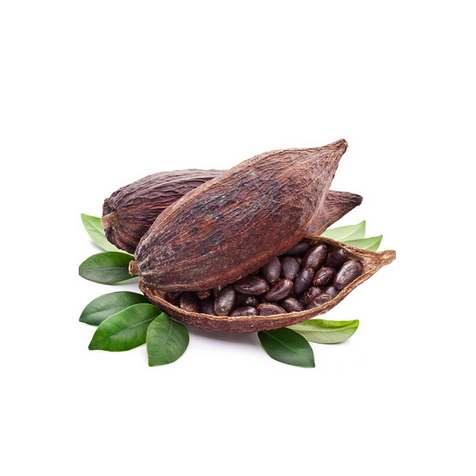 Масло Какао (Theobroma cacao)