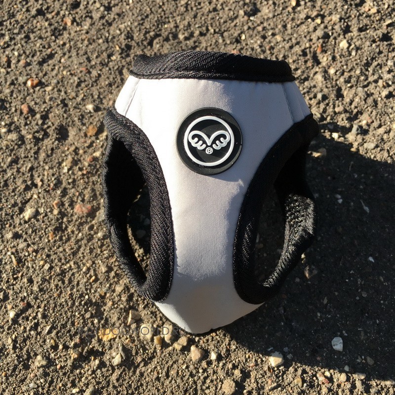 img_1394 img_1394.jpg