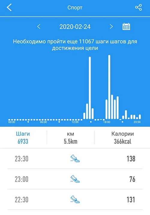 sport-rezhim-trenirovki-healthband-pro-10