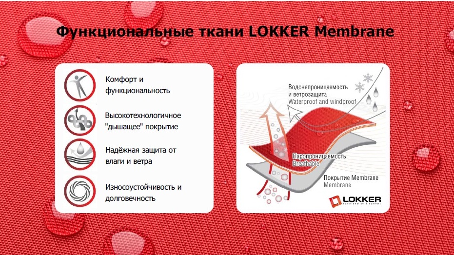 мембрана_LOKKER.jpg