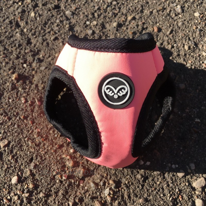 img_1389 img_1389.jpg