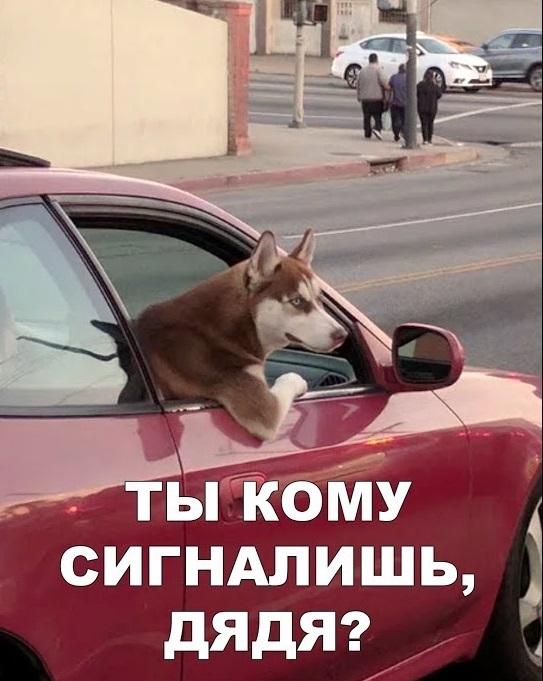 с днем автомобилиста 