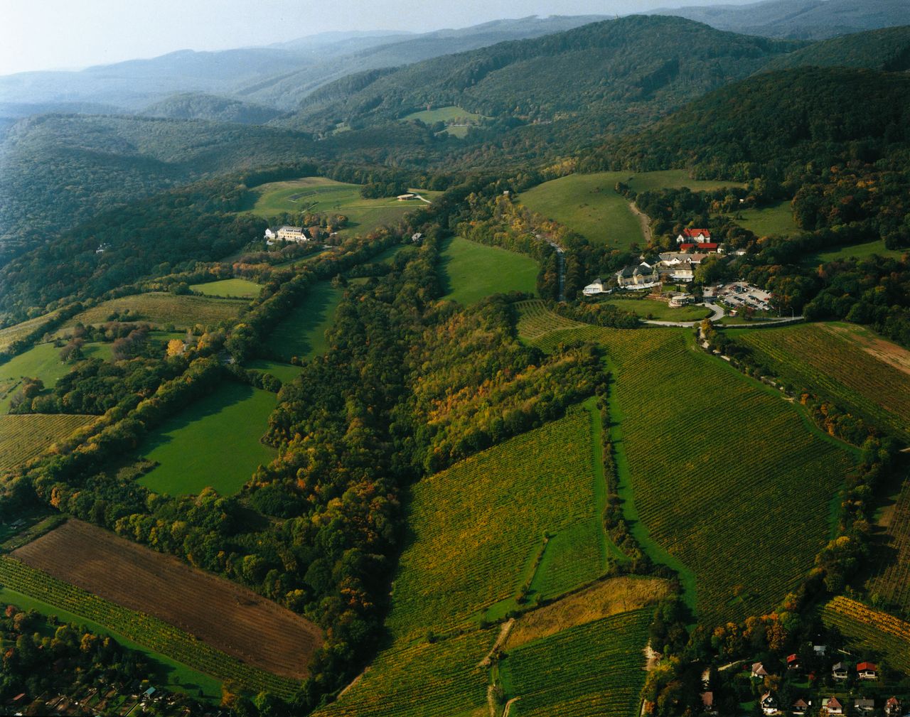 Венский лес. Венский лес Австрия. Австрия Вена Венский лес. Венский лес (Wienerwald). Альпы Венский лес.