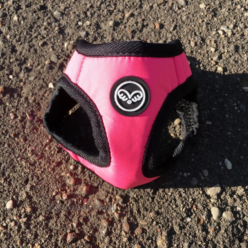 img_1383 img_1383.jpg