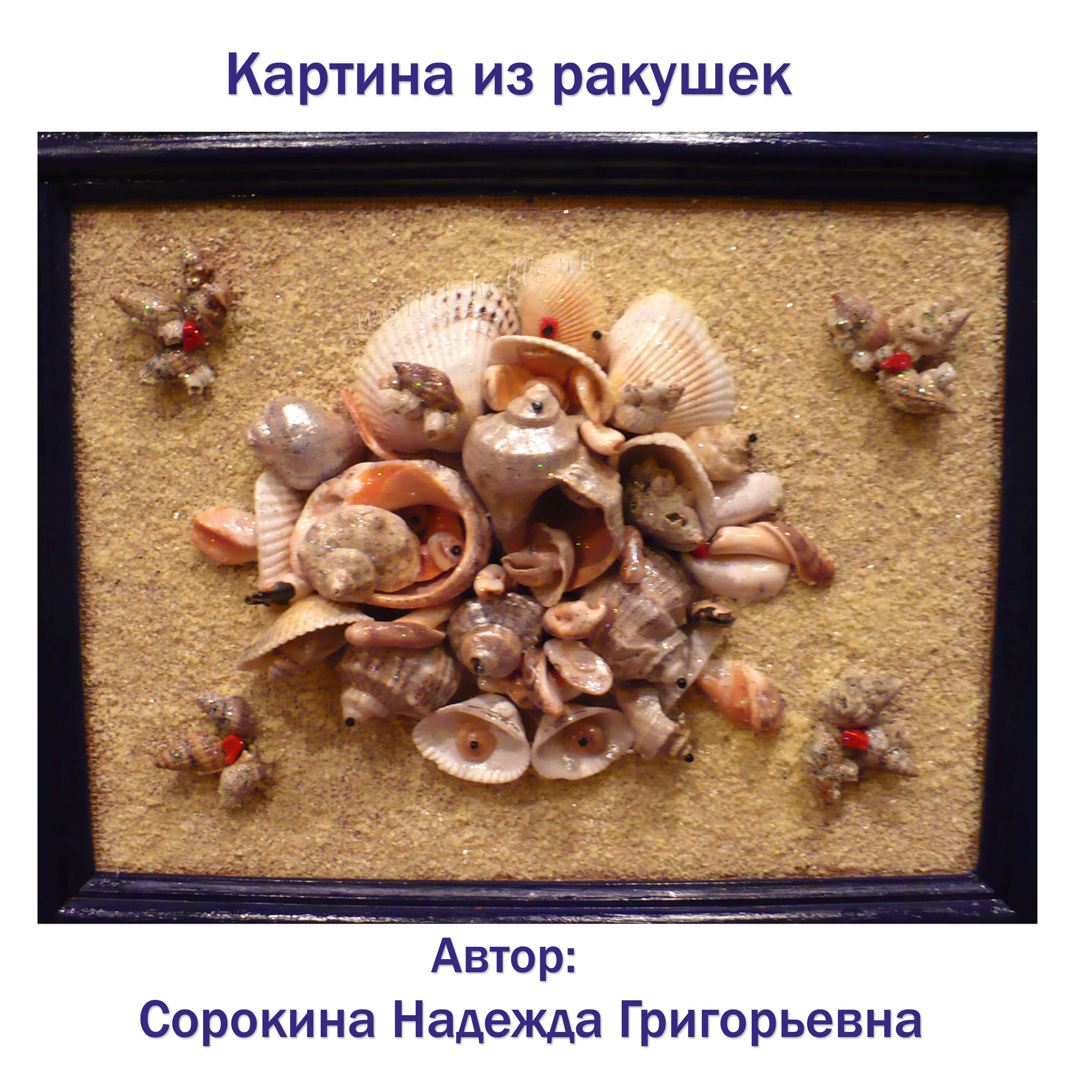 bagrec: пано из морских ракушек