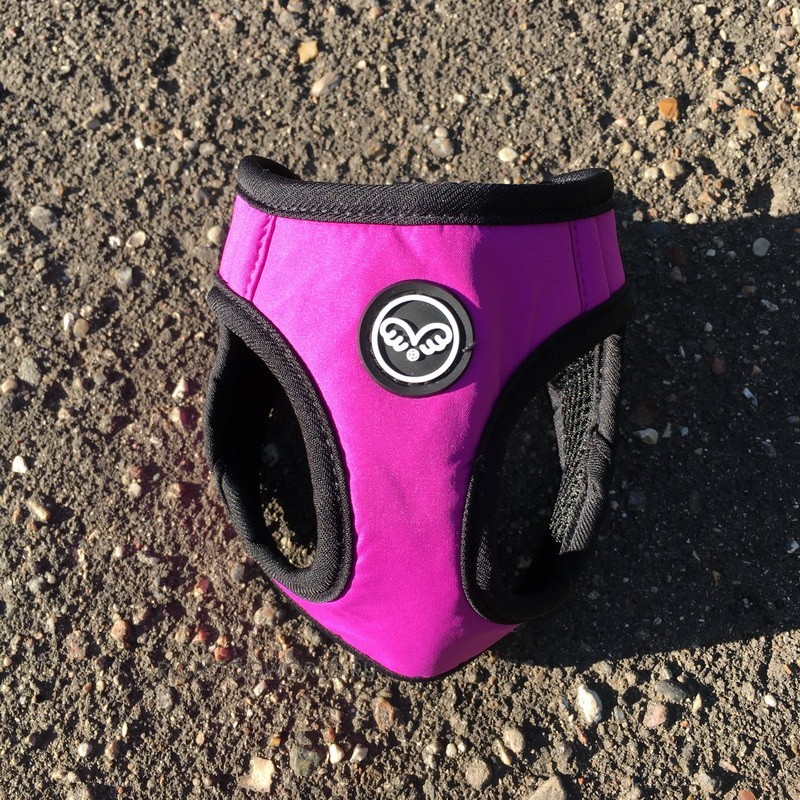 img_1379 img_1379.jpg