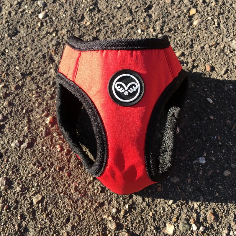 img_1390 img_1390.jpg